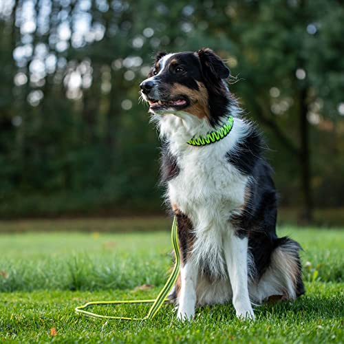 Sprenger Hundehalsband aus stabilem Paracord Nylon mit Edelstahl Clic Lock Verschluss I Wasserabweisende Halskette, reflektierend, langlebig 45 cm, gelb