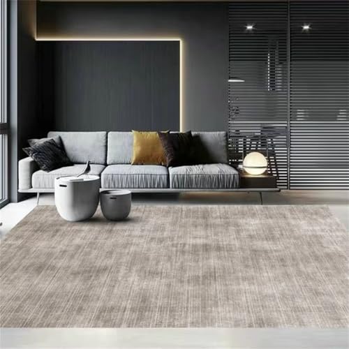 Tapis salon gris 200x300cm design simple et antidérapant