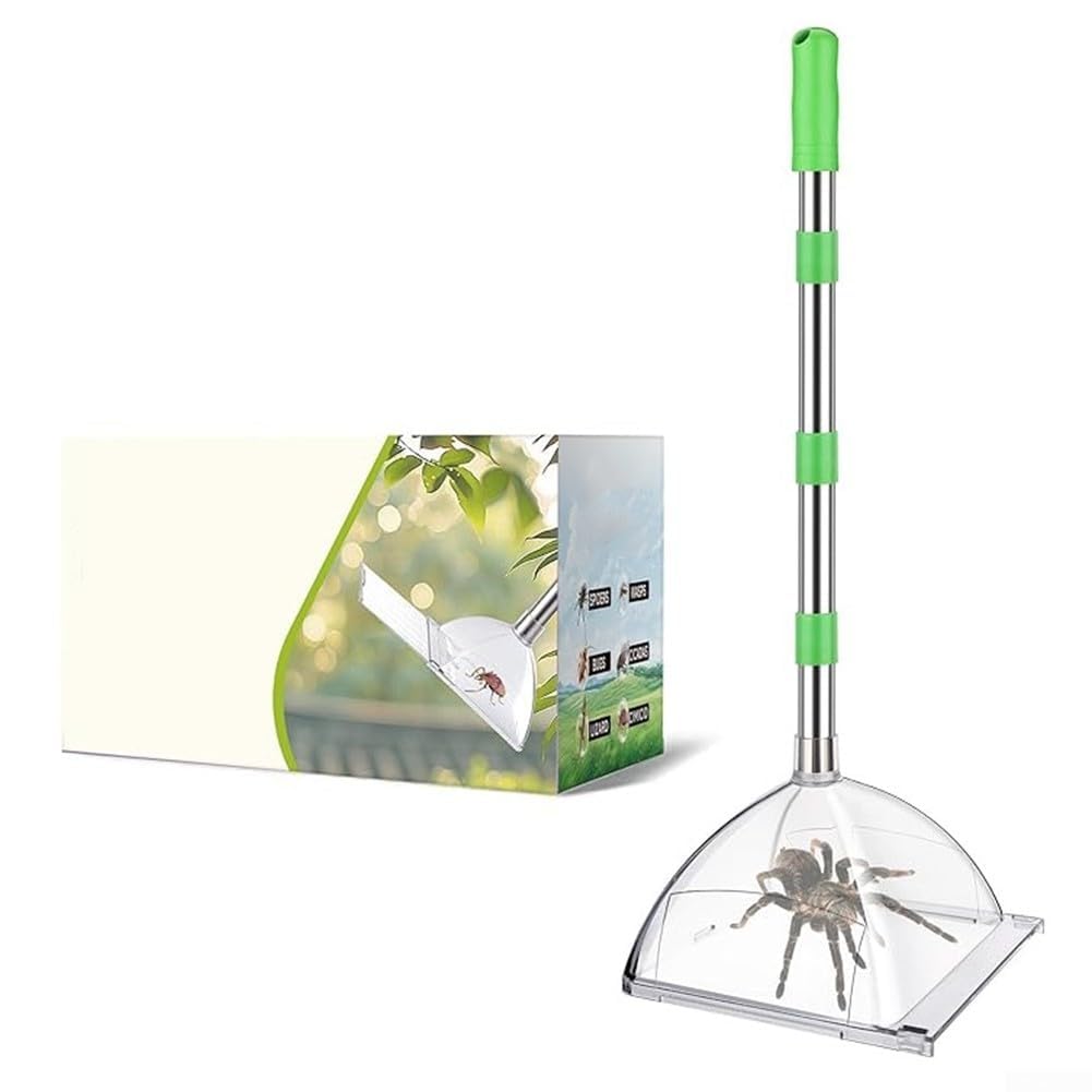 Cattura insetti con manico lungo regolabile per catturare insetti senza contatto con scatola trasparente per la rimozione sicura di ragni, lucertole e piccoli parassiti
