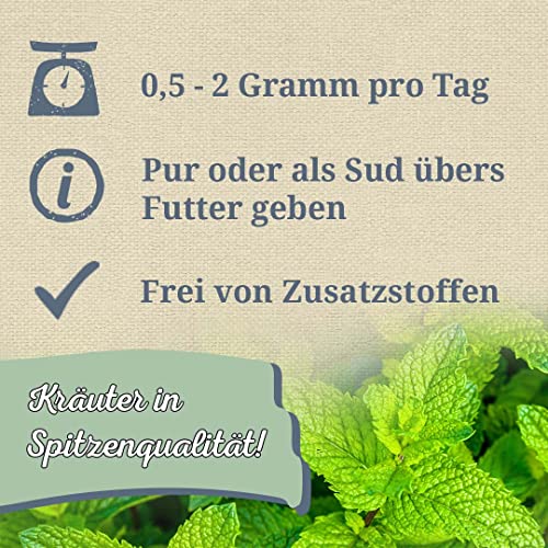 Krauterie Pfefferminze Hund, Einzelfuttermittel für Hunde (100 g), Pfefferminzblätter Pulver in Spitzenqualität