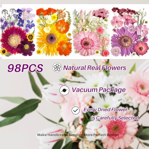 98 piezas flores secas prensadas grandes para resina miniatura 2