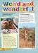 Explore English Student's Resource Book: Stage 5