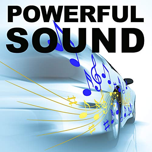 Sound Storm Laboratories LOPRO10 Powered Under Seat Car Subwoofer - 1200 Watts Max, Single 2.6 Ohm, Voice Coil, Built in Amp, Low Profile, Remote Subwoofer Control by Sound Storm Laboratories - Image 2