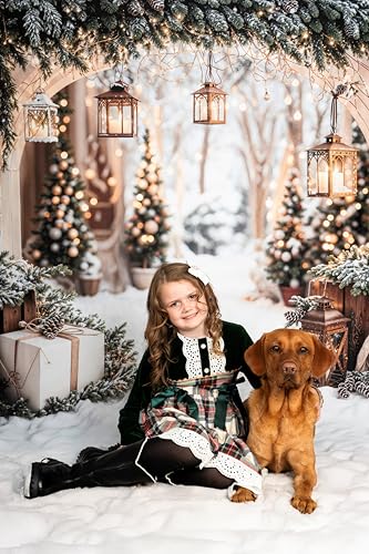 Arrière-plan de séance photo Noël avec accessoires studio 2,5m