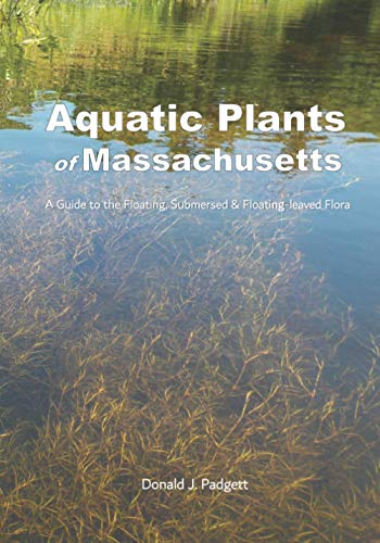 Aquatic Plants of Massachusetts