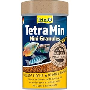 TetraMin Mini Granules – langsam absinkendes Fischfuter für kleine Zierfische wie z.B. Salmler und Barben, 100 ml Dose