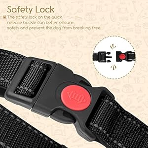 Dog Collar for Large Dogs Nobleza Adjustable Reflective Boy Dog Collar with Safety Lock and Quick Release Buckle Durable Nylon Pet Collar with Soft Neoprene Padded black L  Cucciolini Doodles Dog collar for large dogs nobleza adjustable reflective boy dog collar with safety lock and quick release buckle durable nylon pet collar with soft neoprene padded black l   cucciolini doodles