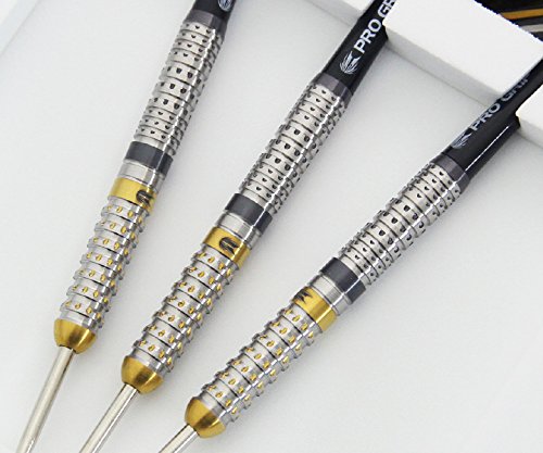 Target-Distinction Capricorn Pixel Steel Tip Dart, 24g : Amazon.co