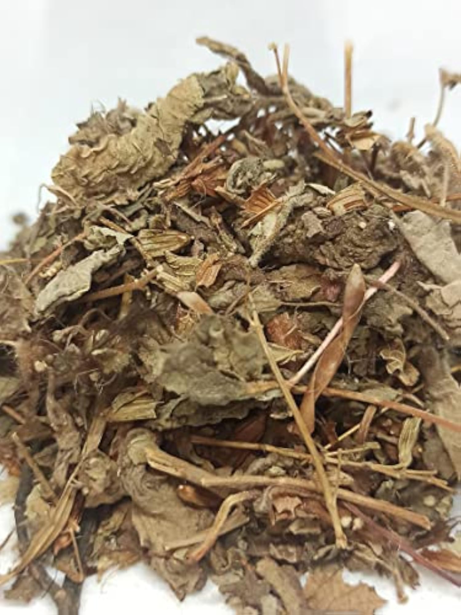 Naturalife's Thiruneetru Pachilai, Sweet Basil, Ayurvedic Herb