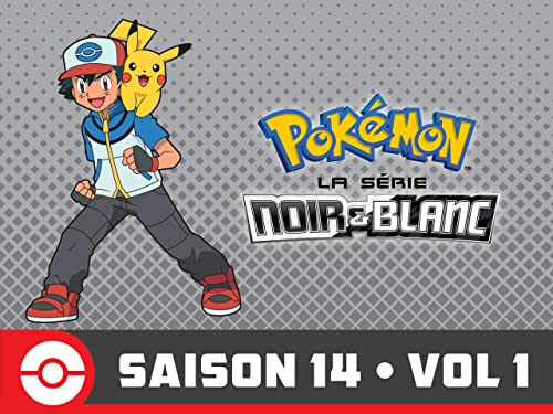 Pokémon, la série : Noir et Blanc