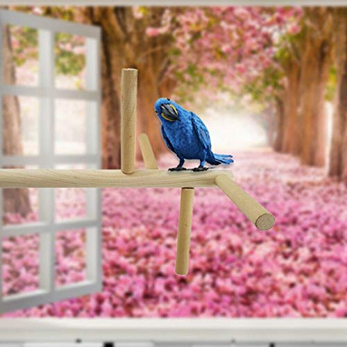 Budgie Toys Parrot Perches Bird Paw Grinding Stick Wooden Bird Perch for Cage Stand Set with 4 Wood Stick Stands Ladder Budgie Perch for Cockatiel Parakeets Play Jumping Rest Birdcage Accessories - Image 8