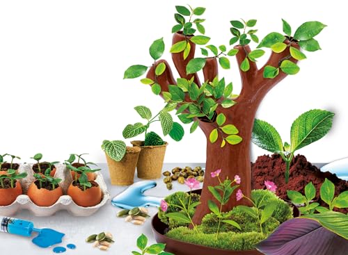 Liscianigiochi I'm A Genius Scienza In Casa Botanica, Albero In Bioplastica, Multicolore, 97364 - 2