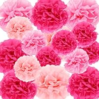 16 pompones de papel, decoración de flores de papel rosa