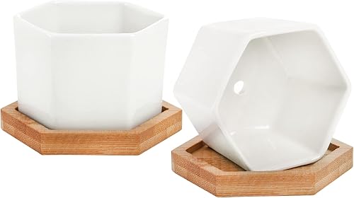 Miniatura 8 de Foraineam Paquete de 10 mini macetas para suculentas, 2.76 pulgadas hexagonales de cerámica blanca con bandeja de bambú