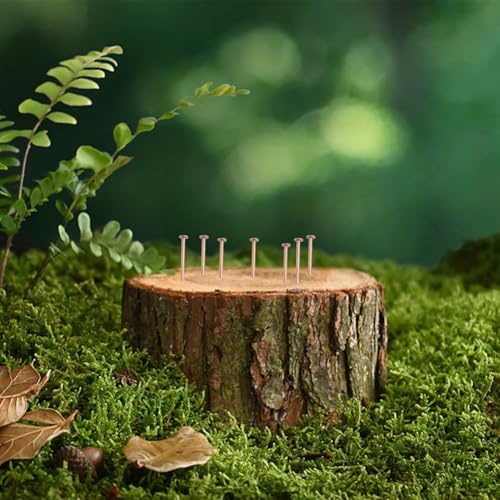 Desiumite Clous en cuivre 65 mm 75 mm pour l'élimination des souches d'arbre, tue-racines non invasifs avec ions de cuivre pur pour arrêter la croissance, le traitement de perçage et de marteau pour