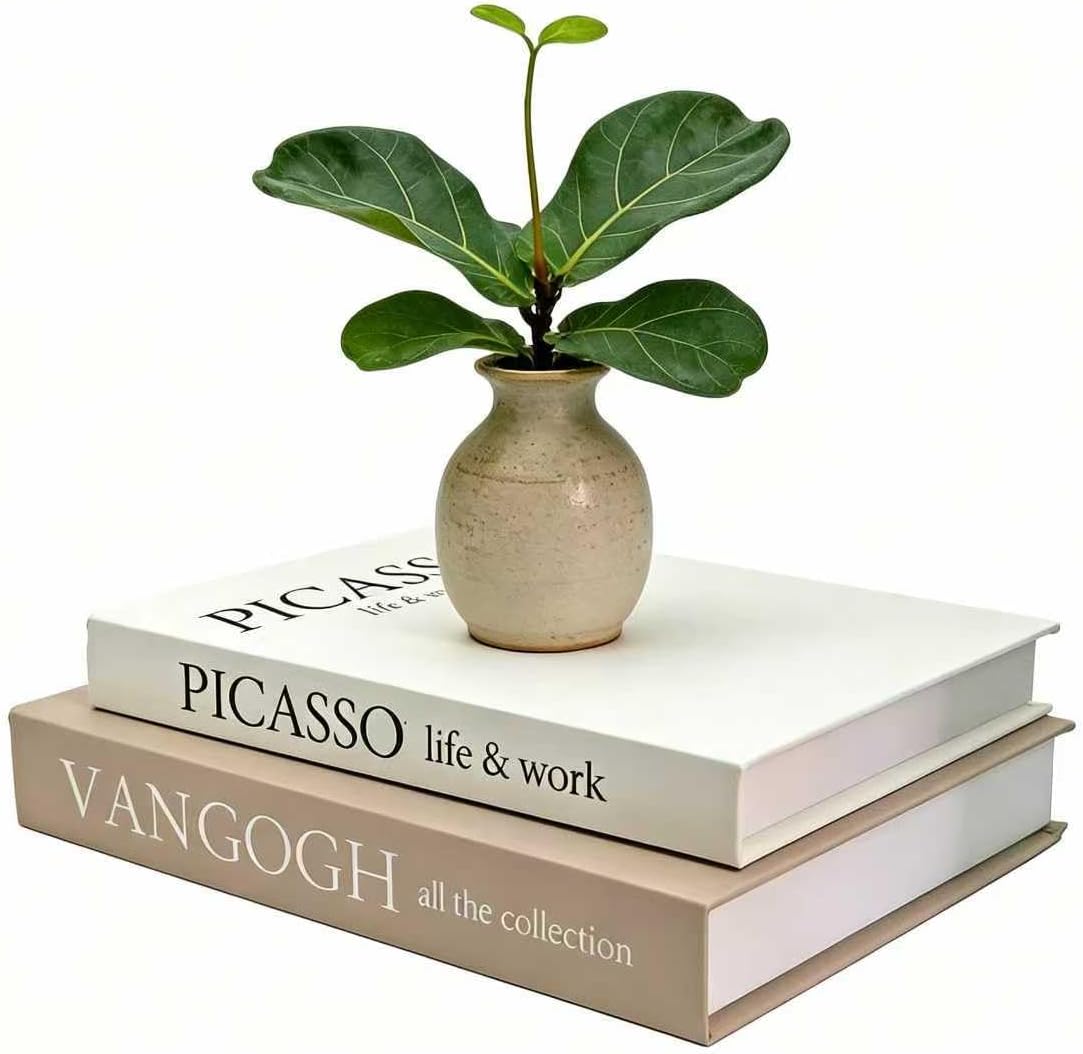 Set of 3 Decorative Books - Linen Faux Fake Books for Decor Aesthetic, Decorative Book for Coffee Table,Bookshelf,Office Table, Home Decor, Fake Book Storage Box for Trinkets Photo-BB001-3PCS