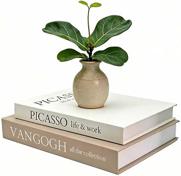 Set of 2 Decorative Books - Linen Faux Fake Books for Decor Aesthetic, Decorative Book for Coffee Table,Bookshelf,Office Table, Home Decor, Fake Book Storage Box for Trinkets Photo-BB002-2PCS