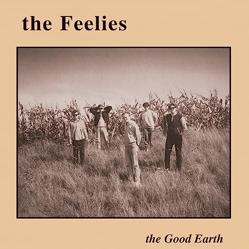 The Feelies
