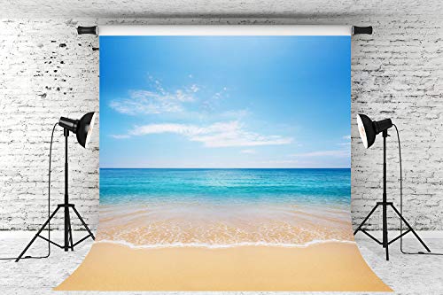 Dephoto Tropical Seaside Beach Ocean Backdrop Summer Hawaii Island Photography Background Boys Girls Portrait Holiday Party Banner Decoration Photo Studio Prop Pgt082B-10X10Ft #TOP2