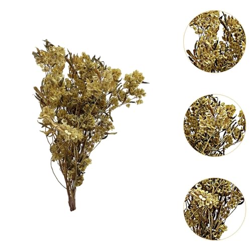 Bouquet de flores secas Dodonaea Viscosa 40-60 cm miniatura 4