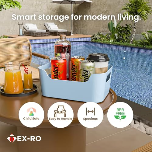 Image of TEX-RO Storage Box and Organiser | Storage Organiser | Organizer Storage Box for Home & Kitchen | Durable Storage Basket & Plastic Basket for Storage (Pack of 3, Sky)