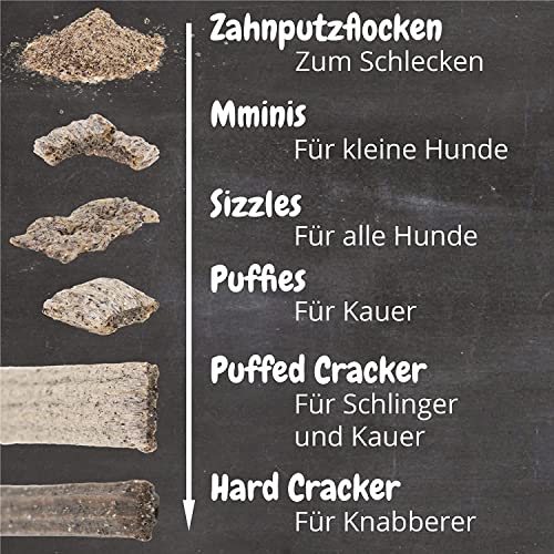 QCHEFS 1X Sizzles: Hunde Zahnpflege antibakteriell gegen Mundgeruch und Zähne geputzt- als getreidefreie-hypoallergene Leckerlis nach dem Hundefutter-perfekt