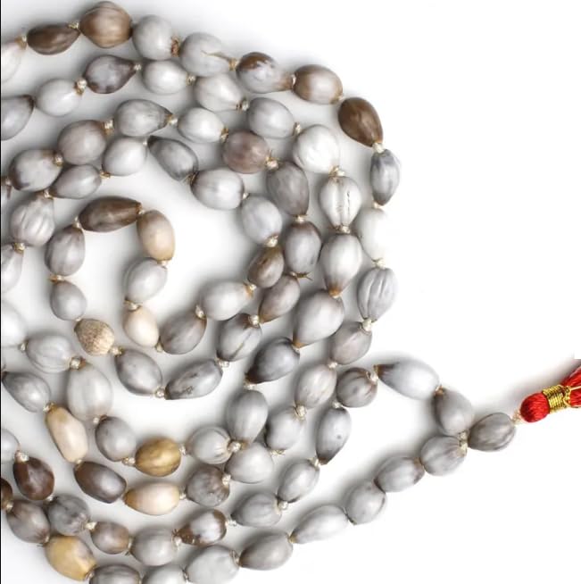 Gemstone King Naturistic Baijayanti Japa Mala With Amazing Shine वैजयन्ती माला Vyjanti|Vaijanti Mala Original 108 Beads Most Precious Vaijayanti Mala Beads With Certified Certificate Baijayanti Mala