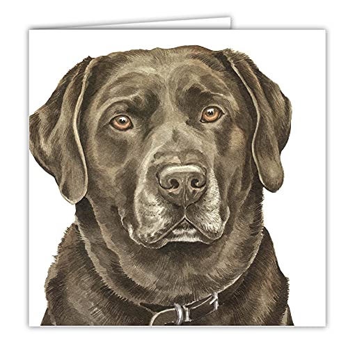 Biglietto di auguri di compleanno Labrador - Un bastoncino solo per te