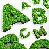 MOOSWERK Personalisiertes Moos-Wandschild - Einzelner Buchstabe A-Z, Zahl 0-9 & Sonderzeichen - Islandmoos in Schwarz/Weiß Rahmen, 3 Größen wählbar, Perfekt als Namensschild, Logo oder Geschenk