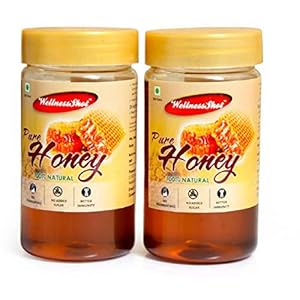 Wellness Shot 100% Natural Pure Honey 250gm, Pack of 2