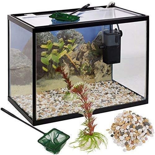 cheap fish tanks