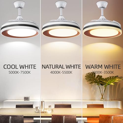 Image of Hans Lighting Ceiling fan With Color Changing LED Light and 4 Speed Retractable Blade and,Remote control (White)