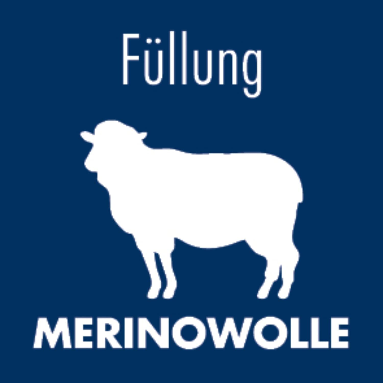Irisette Merino Kopfkissen 80x80 cm, 100% Schurwollfüllung, klimaregulierend, Baumwoll-Bezug, Öko-Tex, Produziert in Deutschland