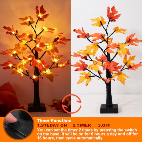 Beterzack Fall Decor 2 Pack 24 Inch Maple Tree Lights - 48 LED Autumn Decorations with Pumpkins & Acorns, Timer, USB & Battery Powered - Thanksgiving Decorations for Home Table Indoor Fireplace by Beterzack - Used condition - Image 2
