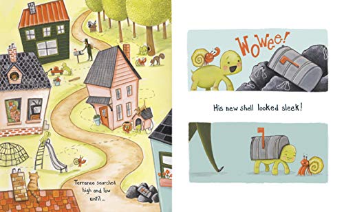 The Box Turtle #TOP3