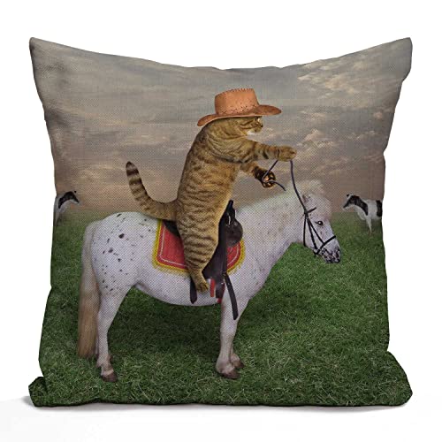 Nphuriy Funny Cat Pillow Cover 16x16 Inch, The Cat ...
