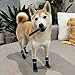 Anti Slip Dog Socks for Large Dogs, Hardwood Floors Pet Paw Protectors with Grips
