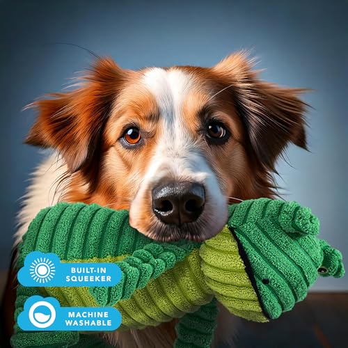 Zappi Co Grüner Frosch Plüsch mit Quietscher – Weich, gerippt, interaktives Spielzeug für kleine/mittelgroße Hunde.