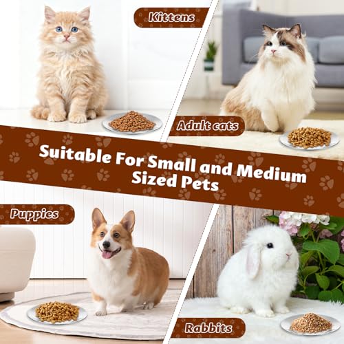 6 Stück Katzennapf Edelstahl, 6.3 Zoll Futternapf Katze Flach für Katzen, Fressnapf Katze, Anti Whisker Fatigue Katzengeschirr Set, Flacher breiter Futter- und Wassernapf für Kleine Katzen und Hunde