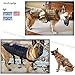Hanshengday Tactical Dog Vest Training Molle Harness-Tactical Dog Backpack-Pet Tactical -Vest Military Working Harness for Large Dog