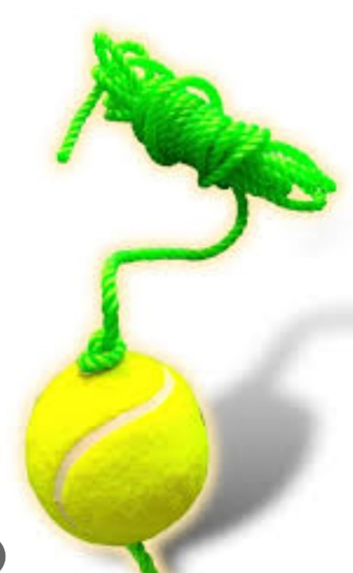 Hanging Ball Cricket Practice | Hanging Tennis Ball | 3.5 mtrs Rope with Two Knots | Nylon Rope | Hanging Ball | Tennis Ball | Practice Ball | Hanging Tennis Ball for Kids | Cricket Ball for Kids | (B0DFCYLNBS) Amazon Price History, Amazon Price Tracker