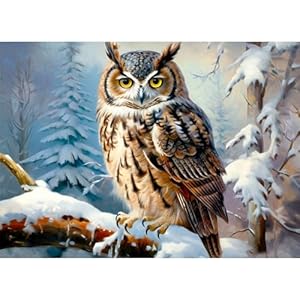 NAIMOER Diamond Painting Eule Winter 30x40cm