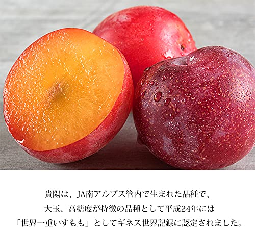 Amazon.co.jp: プラム 貴陽 秀品 約1.5kg 7～9玉 JA南アルプス市 山梨 