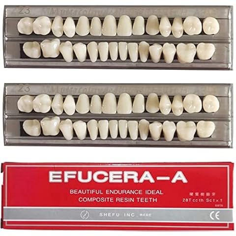Chargenyang Dental Synthetic Resin Tooth Denture False Teeth for Halloween Horror Teeth 23 A3(56 Pcs/2Set) Cover