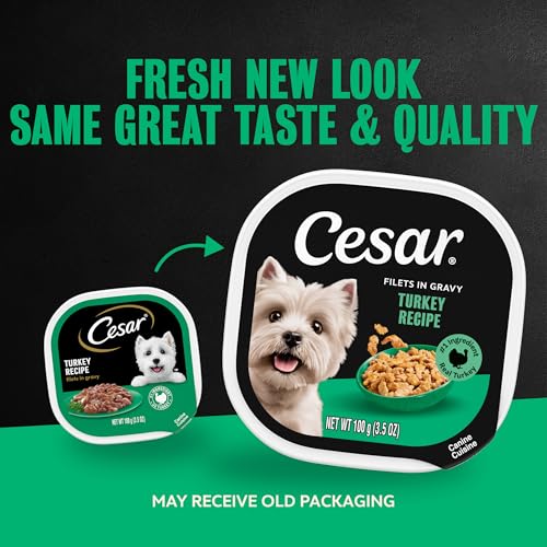Image of Cesar Filets in Gravy Wet Dog Food, Turkey Recipe, 3.5 oz, 24 Count | Real poultry #1 ingredient, no fillers or artificial flavors, easy peel trays, complete & balanced for adult dogs