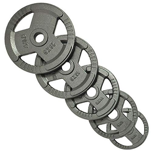 Weight Plates Sets For Home Gym Weight Plates 5Lb/11Lb/22Lb/33Lb/44Lb Plates Standard 2” Exercise Weights Weightlifting And Bodybuilding, Solid Iron Weight Plates For Strength Training (E, 1 X 44Lb) #TOP2