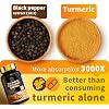 Turmeric Curcumin Supplement - 11-in-1 Turmeric Supplement with Black Pepper, Extra Strength Absorption, 95% Curcuminoids for Joint, Skin and Immune Support, Non-GMO, 120 Turmeric Capsules, 2 Packs