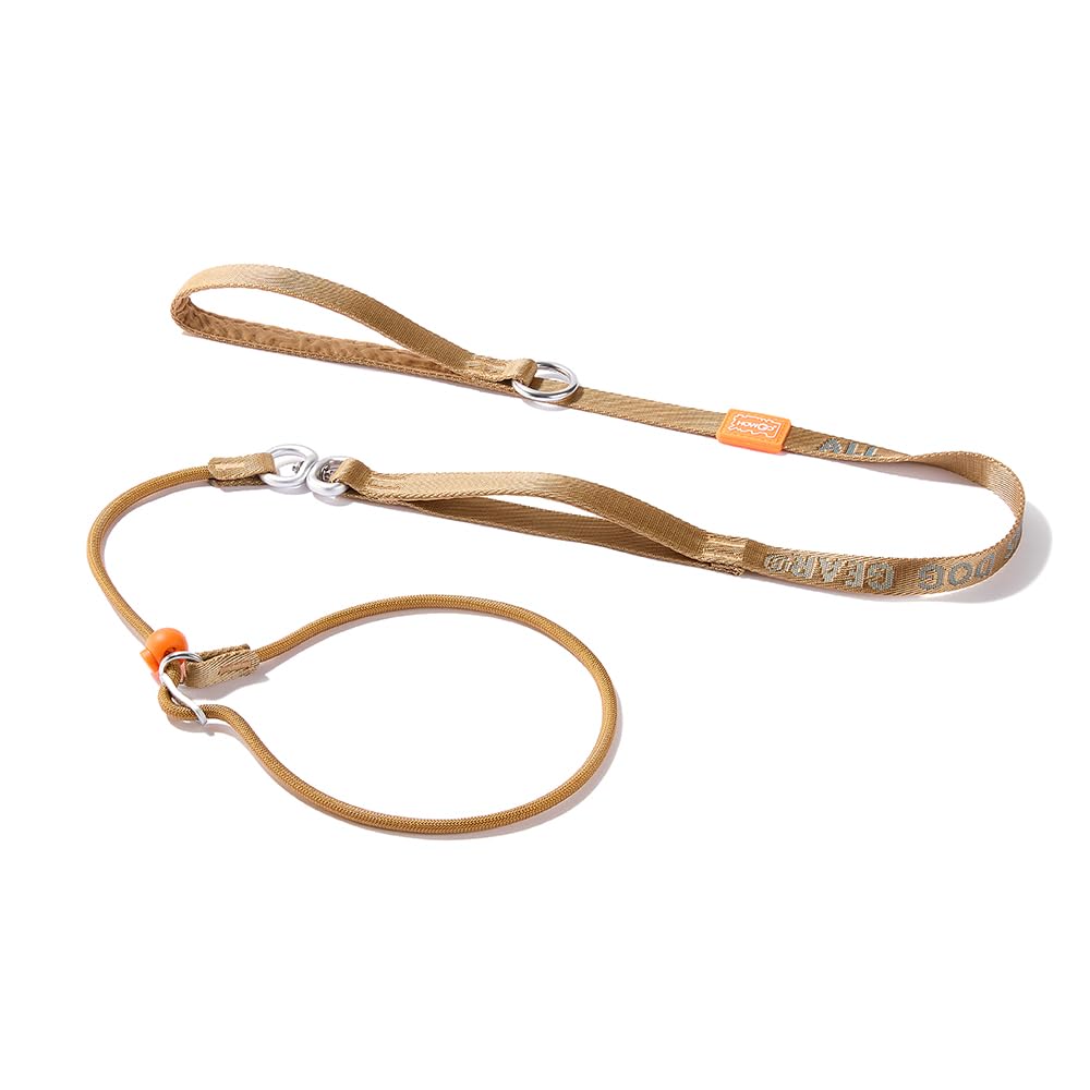 HowGo Slip Lead Dog Leash with Double Handles | Reflective Dog Training Leash with 360° Swivel Anti-Tangle | Heavy-Duty Lead and Collar for Large Medium and Small, No-Pull Walking (Brown, 5.5FT)