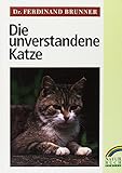 vermisste katzen augsburg  Die unverstandene Katze