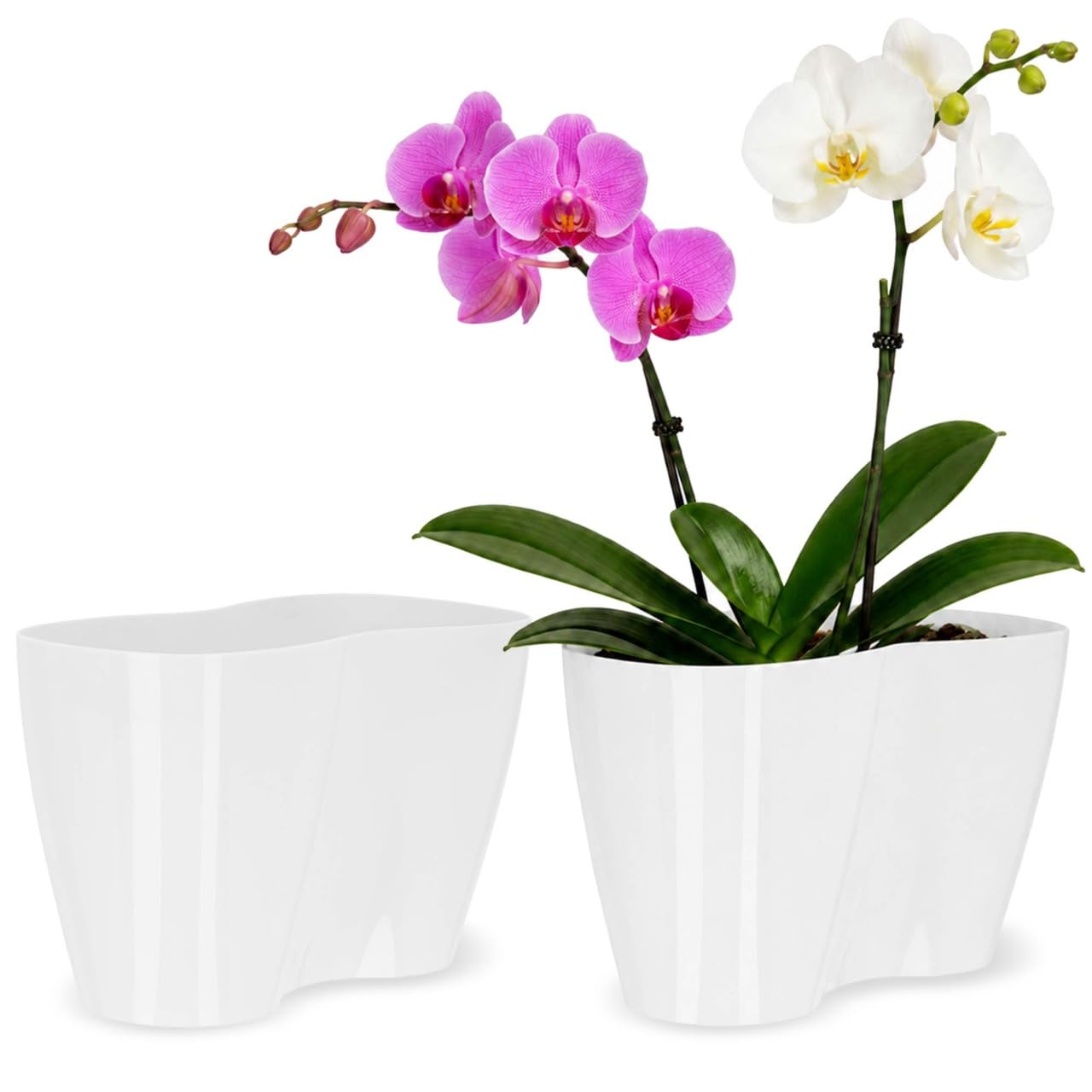 KADAX Blumentopf für Innen, Orchideen, Blumen, Pflanzen, Fensterbank, Übertopf, Orchideentopf, Pflanztopf aus Kunststoff, moderner Pflanzkübel, Blumenkübel, Blumenübertopf (23,5 x 12 cm, Weiß)